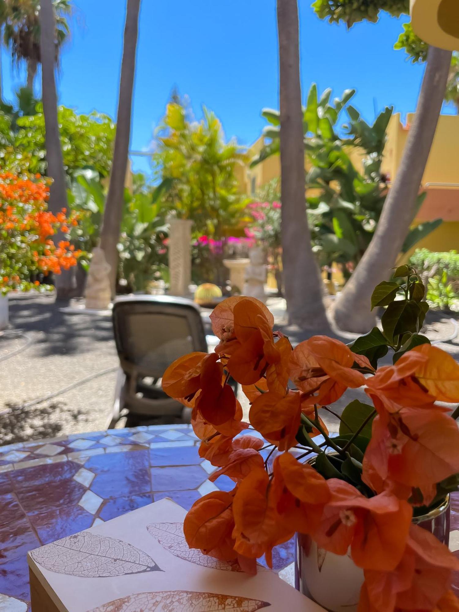 Apartmán B-Rent Atlantic Garden 181 Corralejo Exteriér fotografie